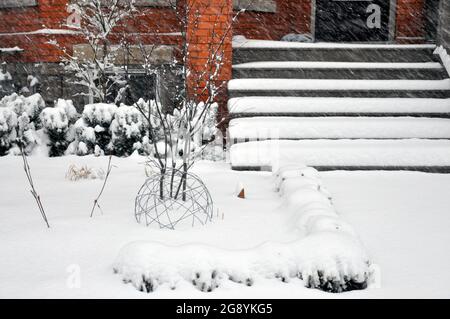 Questo ben progettato giardino urbano anteriore utilizza sempreverdi tasso e siepi di bosso e scultura a grande struttura e interesse durante le stagioni. Foto Stock