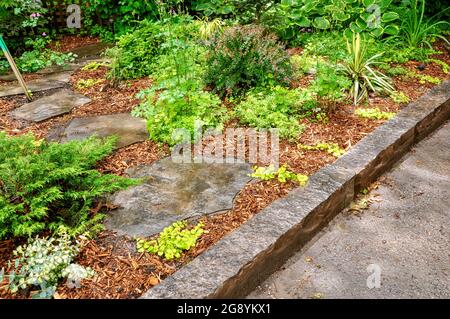 Le pietre a scalino in pietra creano un percorso tortuoso attraverso un giardino boscoso. Foto Stock