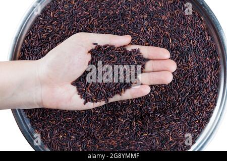 Riso organico a forma di cuore sul palmo della donna asiatica mano su palo di riso marrone Foto Stock