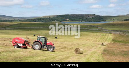 Haymaking a Malhamdale Foto Stock