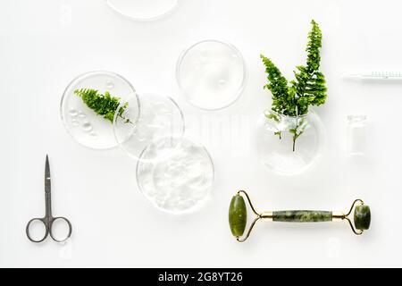 Moisturizer e rullo per il viso in giada verde. Foglie esotiche di felce e gocce d'acqua su sfondo bianco. Massaggio viso, cosmetici fatti a mano. Foto Stock