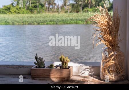 Angolo rilassante accanto al fiume con l'orecchio secco di riso in un vaso di vetro e cactus piccolo in pentola di piante di legno a scopo di decorazione su vecchio tavolo di legno Foto Stock