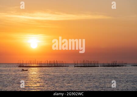 Fattoria Oyster in mare e bellissimo cielo tramonto sfondo, sole e nuvole Paesaggio natura, mare a chonburi provincia Thailandia Foto Stock