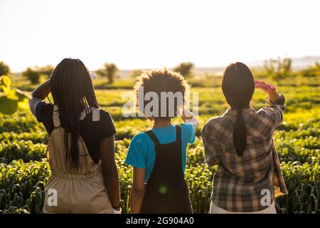 In azienda i figli adulti insieme ragazza giovane azienda grandi  organicamente fresche prodotte fragole due adulti accanto a turno Foto stock  - Alamy