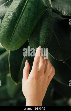Giovane donna che tocca foglie bagnate Foto Stock
