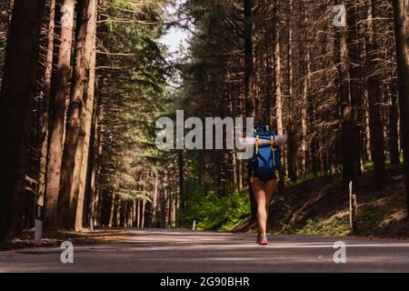 Donna zaino in spalla strada escursionistica in foresta Foto Stock