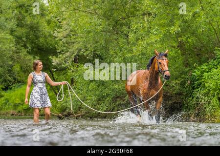 Giovane donna che guida il cavallo sulla longe spruzza in acqua Foto Stock