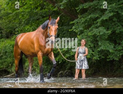 Giovane donna che guida il cavallo sulla longe spruzza in acqua Foto Stock