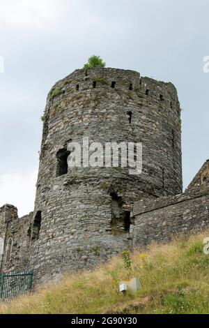 Il castello di Kidwelly è un castello normanno che si affaccia sul fiume Gwendraeth Fach nel Carmarthensshire, Galles occidentale Foto Stock