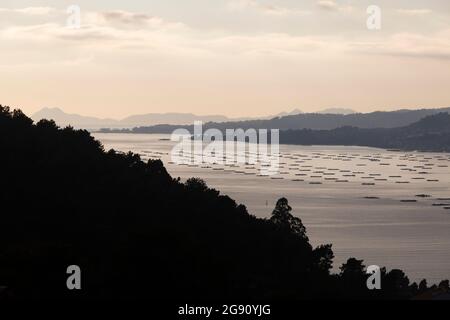 Vista de la Ría de Vigo y las Islas Cíes al atardecer. Foto Stock