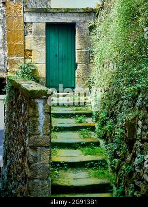 Antica porta di legno verde alla fine di una scala in pietra di un edificio storico in un villaggio europeo. Foto Stock