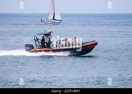 Avventura in barca costiera di Newport con passeggeri in un viaggio di avvistamento delle balene e della vita marina, al largo di Newport Beach, California, USA. Foto Stock