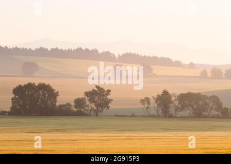 Paesaggio rurale estivo della regione Turiec, Slovacchia. Foto Stock