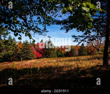 la linea tretella al bordo di un campo cambia colore Foto Stock