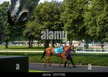 Ascot, Berkshire, Regno Unito. 23 luglio 2021. Horse Raymond prima di competere nel John Guest Racing Brown Jack handicap Stakes al King George Weekend a Ascot Races. Credito: Maureen McLean/Alamy Foto Stock