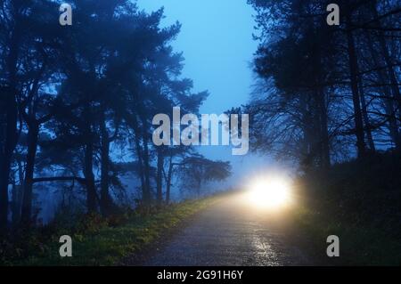 Misteriosi fari luminosi su una pista di foresta spettrale in una notte di inverni Foto Stock