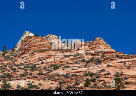 Gli strati vorticosi di arenaria che si sono erosi nel tempo per formare vette o hoodoos nel paesaggio dello Zion National Park situato nello Utah meridionale. Foto Stock