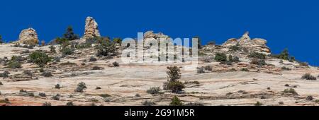 Gli strati vorticosi di arenaria che si sono erosi nel tempo per formare vette o hoodoos nel paesaggio dello Zion National Park situato nello Utah meridionale. Foto Stock