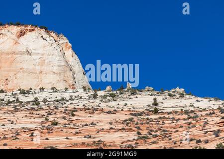 Gli strati vorticosi di arenaria che si sono erosi nel tempo per formare vette o hoodoos nel paesaggio dello Zion National Park situato nello Utah meridionale. Foto Stock