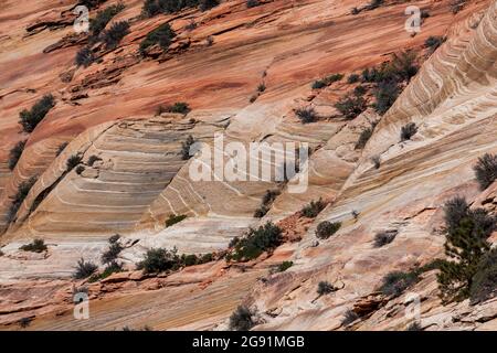 Le pareti del Canyon che sono state erose nel tempo per formare una superficie inclinata liscia che mostra linee e strati di sabbia che le hanno formate migliaia di anni Foto Stock