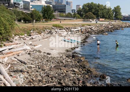 Seattle, Stati Uniti. 23 luglio 2021: Misteriosa morte del leone marino nel Myrtle Edwards Park con i kayak sullo sfondo. Dopo una recente ondata di caldo nel pacifico nord-ovest, un leone marino è stato trovato morto sulla spiaggia appena a nord del centro. Nel 2020 sono stati trovati diversi leoni marini morti, almeno uno ha avuto una ferita da un colpo d'arma da fuoco. Credit: James Anderson/Alamy Live News Foto Stock