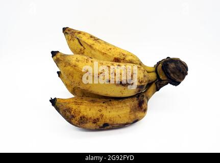 La banana è un frutto che è benefico per la salute Foto Stock