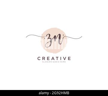 ZN Monogramma di bellezza del logo femminile e design elegante del logo, logo di scrittura a mano della firma iniziale, matrimonio, moda, floreale e botanico con creativo Illustrazione Vettoriale