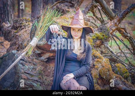 Una giovane strega nel bosco è seduta su un moncone, tenendo un grande ragno accanto alla zampa Foto Stock