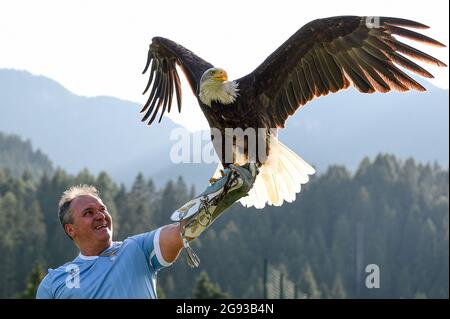 Auronzo di Cadore, Italia. 23 luglio 2021. L'aquila di mascotte del Lazio SS Olimpia è vista prima della partita di calcio pre-stagione amichevole tra SS Lazio e US Triestina. SS Lazion ha vinto 5-2 su US Trientina. Credit: Nicolò campo/Alamy Live News Foto Stock