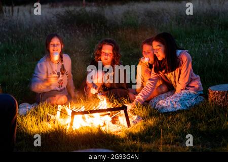 Campeggio familiare, mallows di palude e vacanze di caccia di insetti. Hope Farm Retreats glamping. Foto Stock