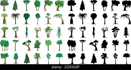 Sagome nere e alberi realistici di diverse zone climatiche su sfondo bianco - illustrazione vettoriale Illustrazione Vettoriale