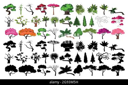 Sagome nere e alberi realistici di diverse zone climatiche su sfondo bianco - illustrazione vettoriale Illustrazione Vettoriale