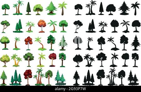 Sagome nere e alberi realistici di diverse zone climatiche su sfondo bianco - illustrazione vettoriale Illustrazione Vettoriale