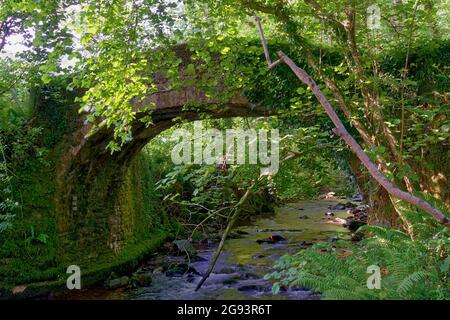 Horner Packhorse bridge over Horner acqua, Exmoor Foto Stock