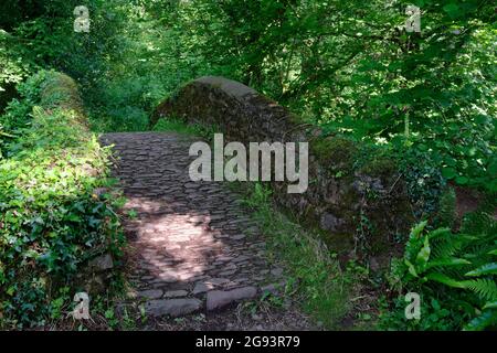 Horner Packhorse bridge over Horner acqua, Exmoor Foto Stock