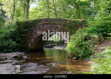 Ponte dell'Horner sull'acqua dell'Horner, Exmoor Foto Stock