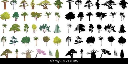 Sagome nere e alberi realistici di diverse zone climatiche su sfondo bianco - illustrazione vettoriale Illustrazione Vettoriale