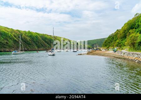 Barche e yacht nel porto di Solva, St Brides Bay, Pembrokeshire in Galles Foto Stock