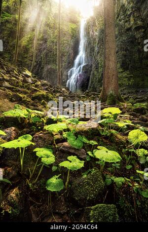 Foto verticale della cascata Burgbach nella Foresta Nera a Bad Rippoldsau-Schapbach, Germania Foto Stock