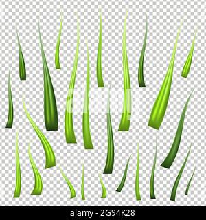 Erba vettoriale verde fresca e ricca di dettagli. Steli di pianta isolati per l'illustrazione della natura della pianta anteriore. Strumento Mesh gradiente. Illustrazione Vettoriale