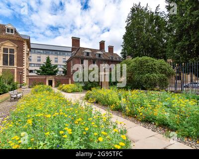 CAMBRIDGE ENGLAND TRUMPINGTON STREET ST CATHARINE'S COLLEGE AIUOLE COLORATE IN ESTATE Foto Stock