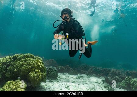 Tuffati esplorando le acque tropicali intorno all'isola di Phuket Foto Stock