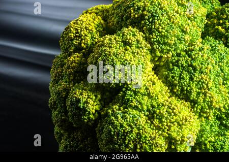 Grande testa fresca cruda di cavolo di broccoli su fondo nero, cibo vegetariano sano, primo piano. Foto Stock