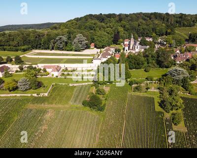 Vista aerea su vigneti verdi nella regione Champagne vicino Epernay, Francia, bianco uve da vino chardonnay che si coltivano su terreni di gesso in estate Foto Stock
