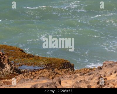 White Spume conosciuto come Sea, Ocean o Beach foam creato dall'agitazione di acqua di mare sopra le rocce della costa Foto Stock