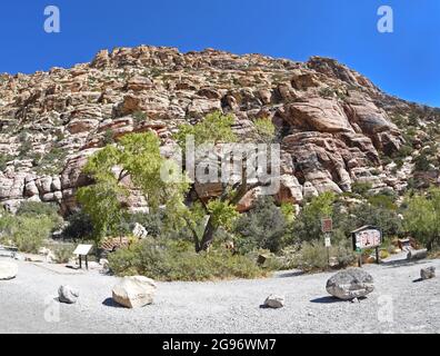 Area ricreativa nazionale del Red Rock Canyon, Las Vegas, Nevada Foto Stock