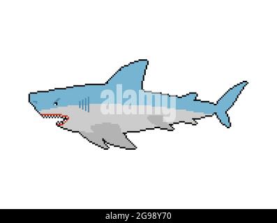 Shark pixel art. Predatore di mare 8bit. Grande predatore pesce marino. Illustrazione vettoriale Illustrazione Vettoriale