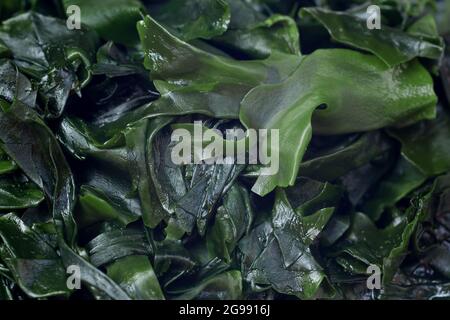 fuoco selettivo per closeup di alghe fresche grezze di wakame Foto Stock
