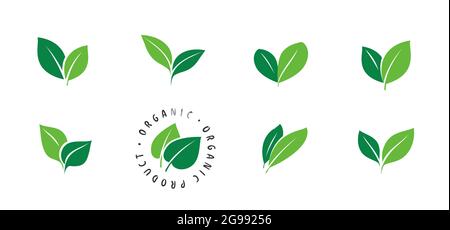 Set di icone a foglia verde. Ecologia, simbolo organico isolato Illustrazione Vettoriale