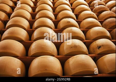 Scaffali di produzione casearia con formaggio stagionato Foto Stock